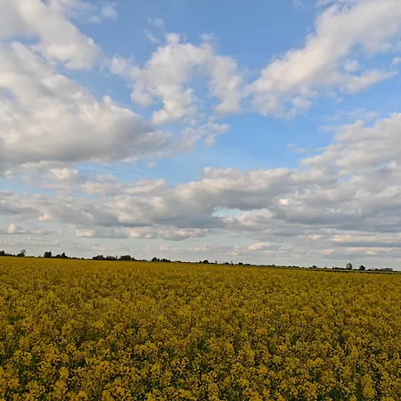 Bramka Do Lasu Habitación en casa particular *