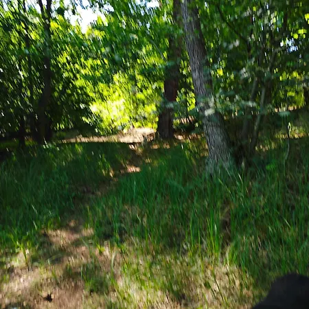 Habitación en casa particular Bramka Do Lasu *