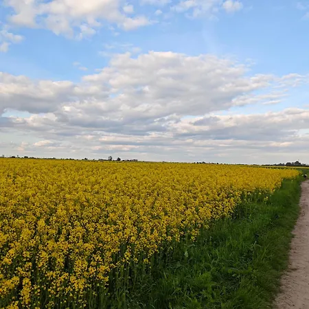 Bramka Do Lasu Dąbrowa Górnicza