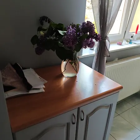 Bramka Do Lasu Dąbrowa Górnicza