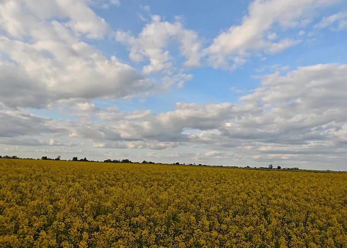 Bramka Do Lasu 홈스테이 *