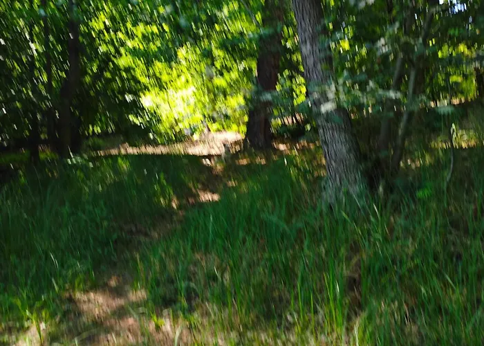 홈스테이 Bramka Do Lasu *