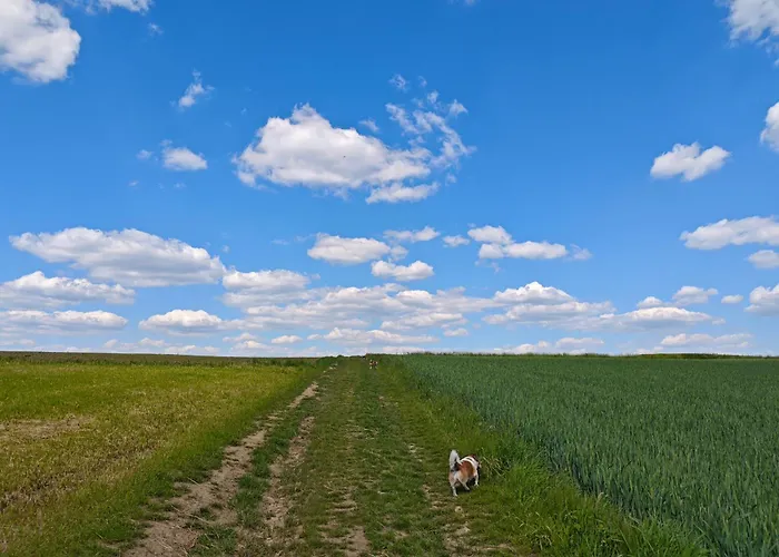 홈스테이 Bramka Do Lasu *